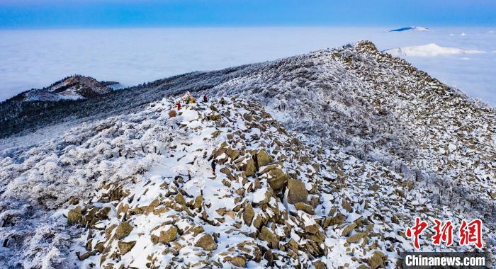 图为积雪点缀秦岭冰晶顶。　朱雀国家森林公园供图