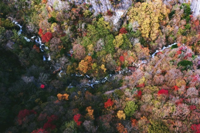 一览红叶满山